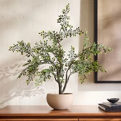 Faux Bonsai Tree, Green