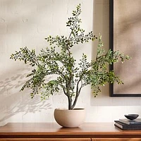 Faux Bonsai Tree, Green