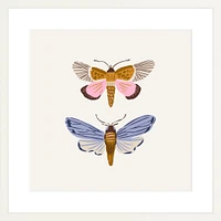 Moths By Sally Murphy Design, Framed Giclee Print, White 11x11