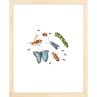 Bugs By Lanas Shop, Framed Giclee Print, White 12x15