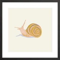 Snail By Sally Murphy Design, Framed Giclee Print, White 11x11