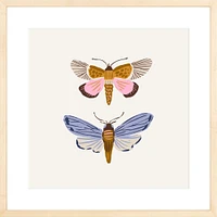 Moths By Sally Murphy Design, Framed Giclee Print, White 11x11