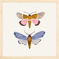 Moths By Sally Murphy Design, Framed Giclee Print, White 11x11