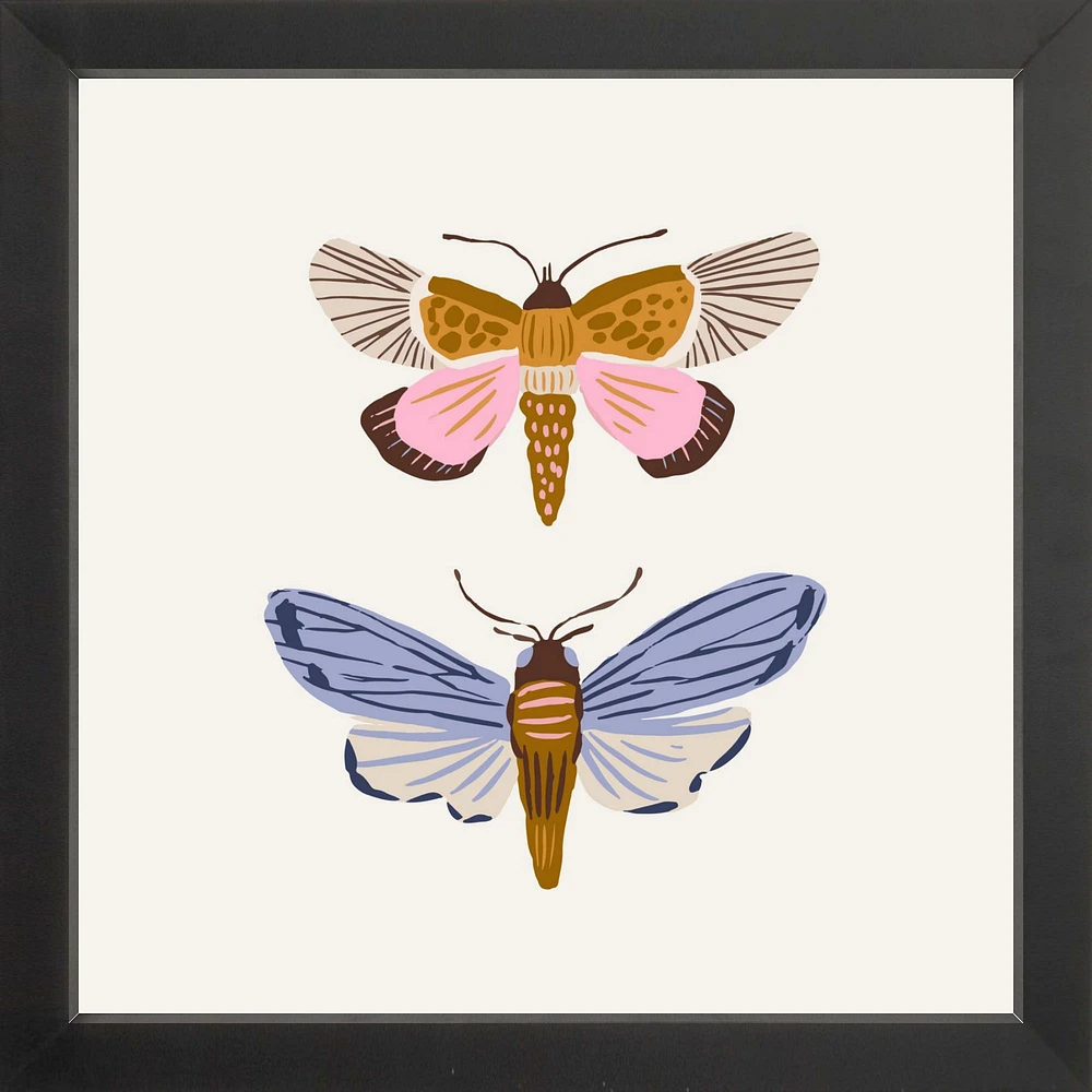 Moths By Sally Murphy Design, Framed Giclee Print, White 11x11