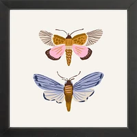 Moths By Sally Murphy Design, Framed Giclee Print, White 11x11