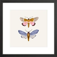 Moths By Sally Murphy Design, Framed Giclee Print, White 11x11