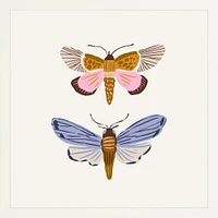 Moths By Sally Murphy Design, Framed Giclee Print, White 11x11