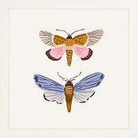 Moths By Sally Murphy Design, Framed Giclee Print, White 11x11