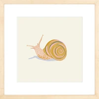 Snail By Sally Murphy Design, Framed Giclee Print, White 11x11