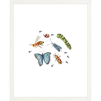 Bugs By Lanas Shop, Framed Giclee Print, White 12x15