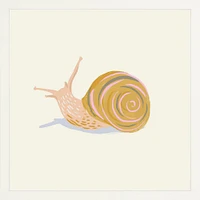 Snail By Sally Murphy Design, Framed Giclee Print, White 11x11