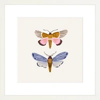 Moths By Sally Murphy Design, Framed Giclee Print, White 11x11