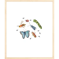 Bugs By Lanas Shop, Framed Giclee Print, White 12x15