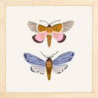 Moths By Sally Murphy Design, Framed Giclee Print, White 11x11