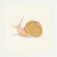 Snail By Sally Murphy Design, Framed Giclee Print, White 11x11