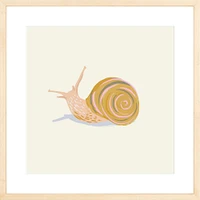 Snail By Sally Murphy Design, Framed Giclee Print, White 11x11