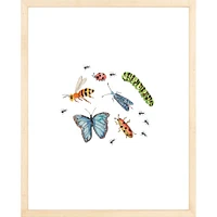 Bugs By Lanas Shop, Framed Giclee Print, White 12x15