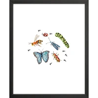 Bugs By Lanas Shop, Framed Giclee Print, White 12x15