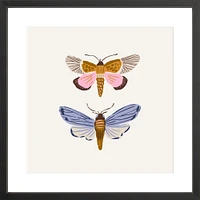 Moths By Sally Murphy Design, Framed Giclee Print, White 11x11