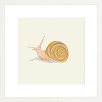 Snail By Sally Murphy Design, Framed Giclee Print, White 11x11