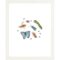 Bugs By Lanas Shop, Framed Giclee Print, White 12x15