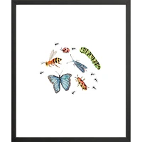 Bugs By Lanas Shop, Framed Giclee Print, White 12x15