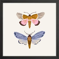 Moths By Sally Murphy Design, Framed Giclee Print, White 11x11