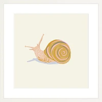 Snail By Sally Murphy Design, Framed Giclee Print, White 11x11