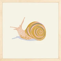 Snail By Sally Murphy Design, Framed Giclee Print, White 11x11