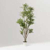 Faux Potted Phoenix Tree, Green, 4.5ft