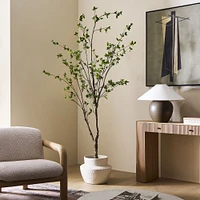 Faux Minimalist Citrus Potted Floor Plant, 7Ft