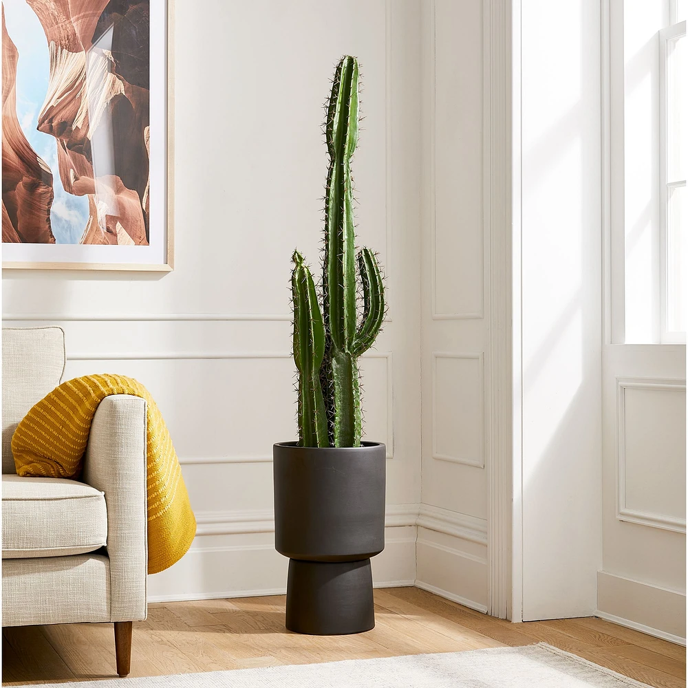 Faux Potted Cactus Plant & Black Bishop Medium Floor Planter Bundle