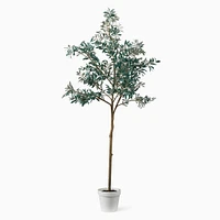 Faux Potted Olive Tree, 5'