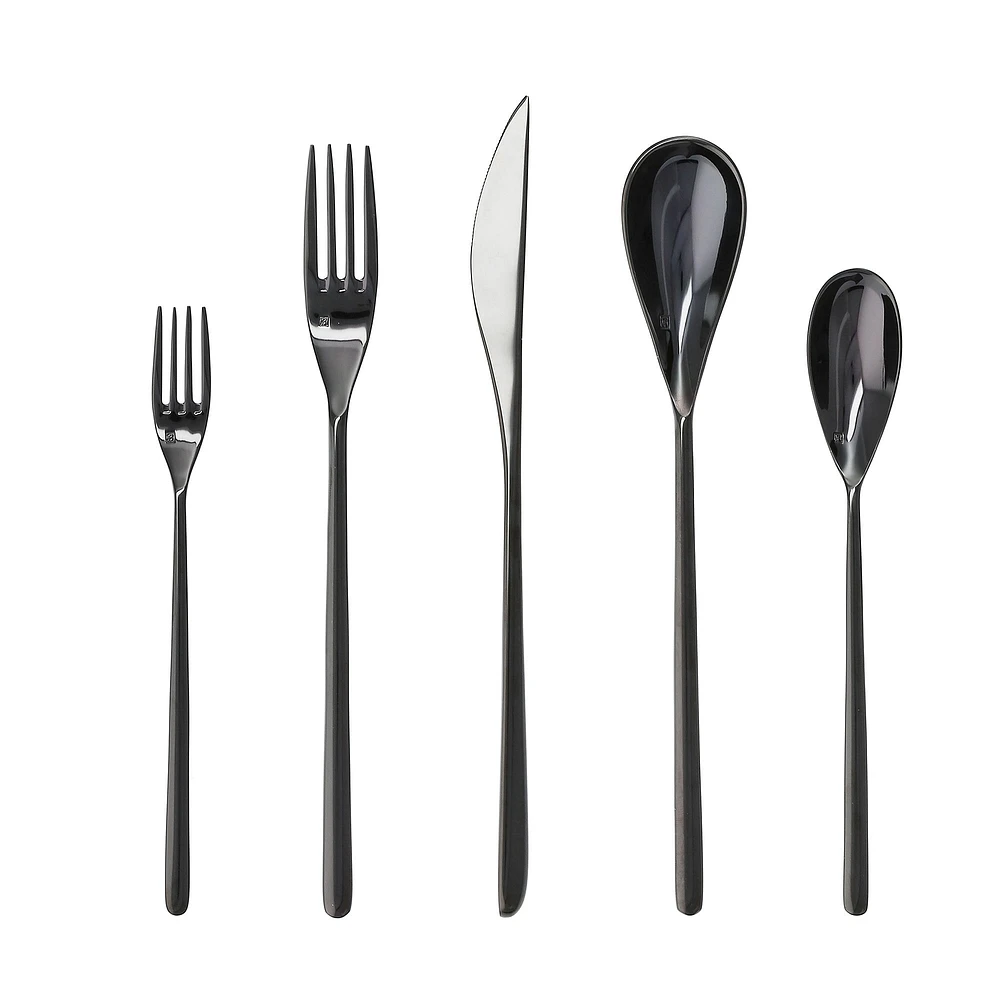 Fortessa Dragonfly Black 5-Piece Place Setting, Boxed, Each