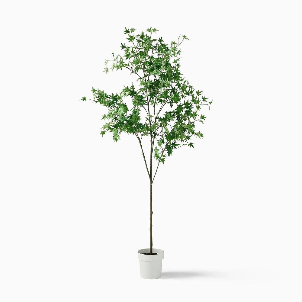 Faux Maple Potted Tree, 6FT, Green