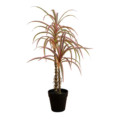 Faux Dracaena Marginata Plant, Pink, 2ft