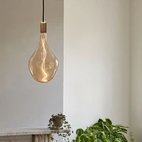 Tala Brass Pendant With Voronoi III Bulb