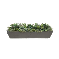Faux Potted Succulent Mix w/ Planter, Gray