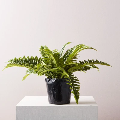 Faux Potted Fern Plant