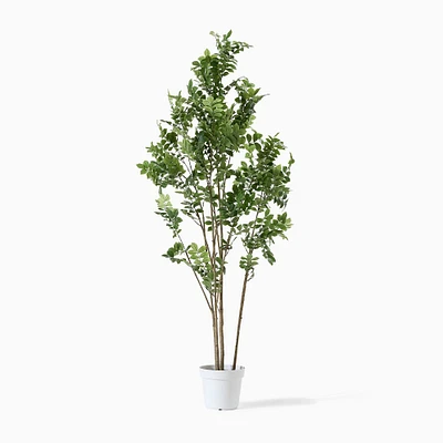 Faux Potted Green Leaf Tree, 6'