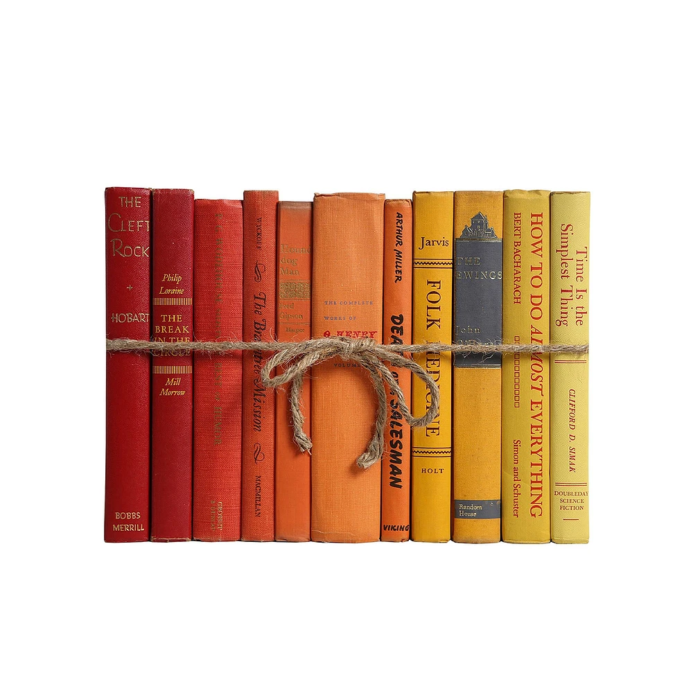 Modern Decorative Book, Snowfall