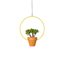 Newmade LA Circle Hanging Planter Brass