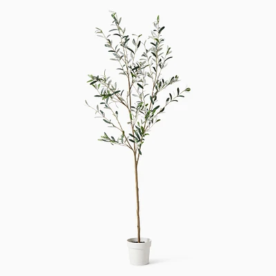 Faux Potted Black Olive Tree, 6.5', Green