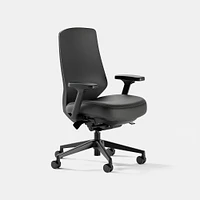 Branch Ergonomic Chair Pro, Mesh Fabric, Black/Black