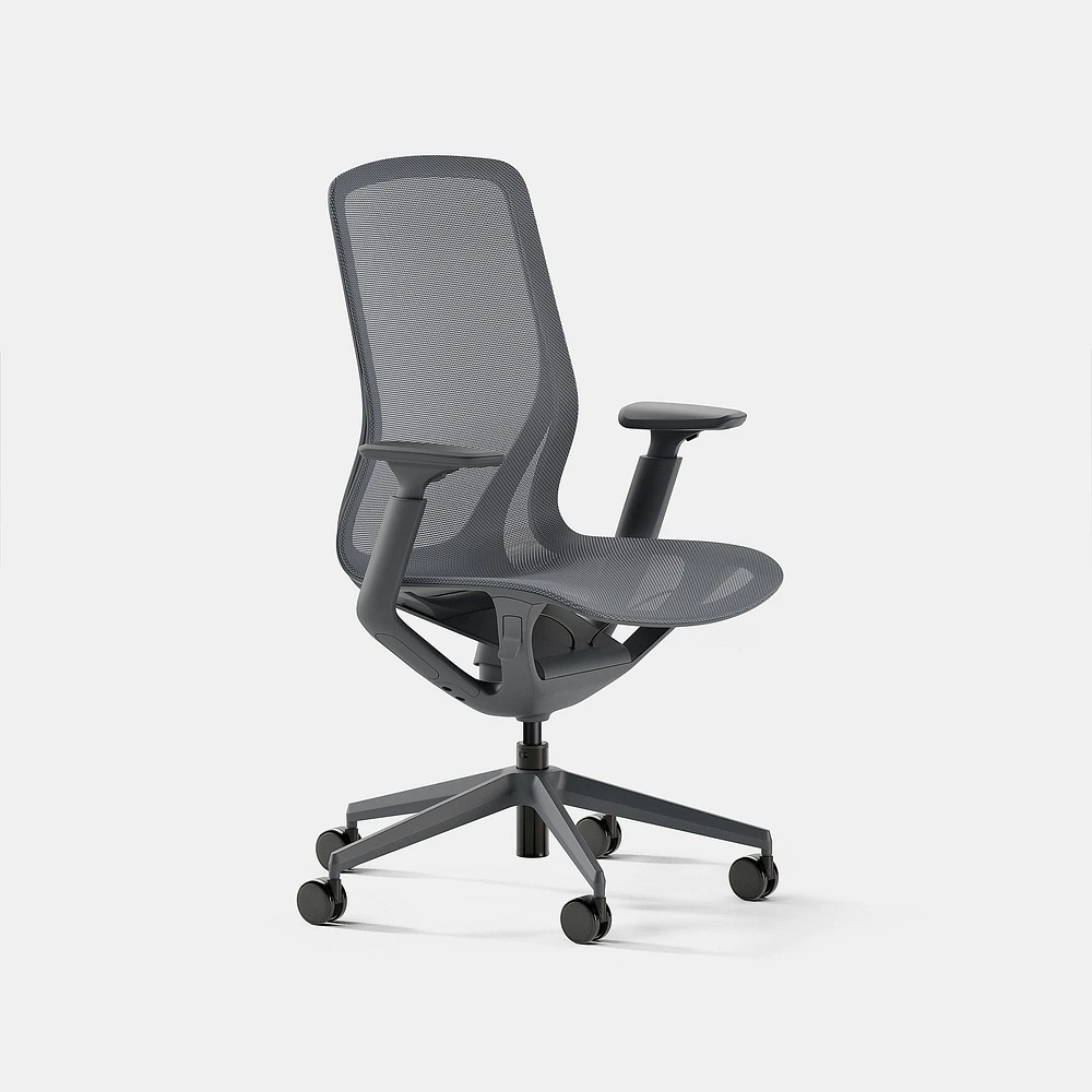 Branch Aire Chair, Graphene