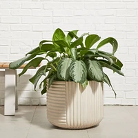 Cecilia Ficonstone Indoor/Outdoor Planter, Medium, 18.1"D x 14.9"H, Black