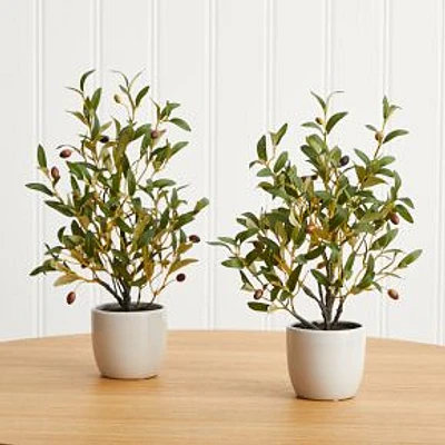 Faux Potted Tabletop Olive Tree, 1.5', Green