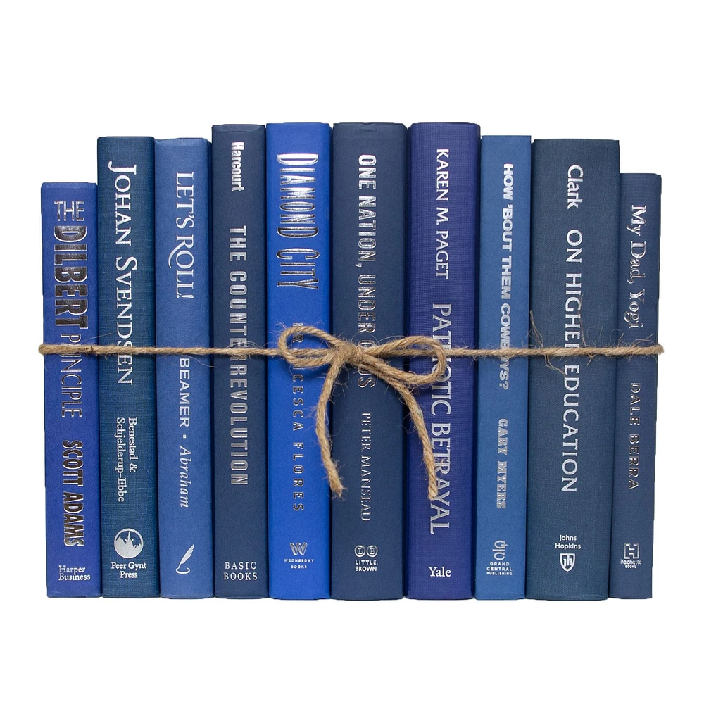 Modern Decorative Book, Snowfall