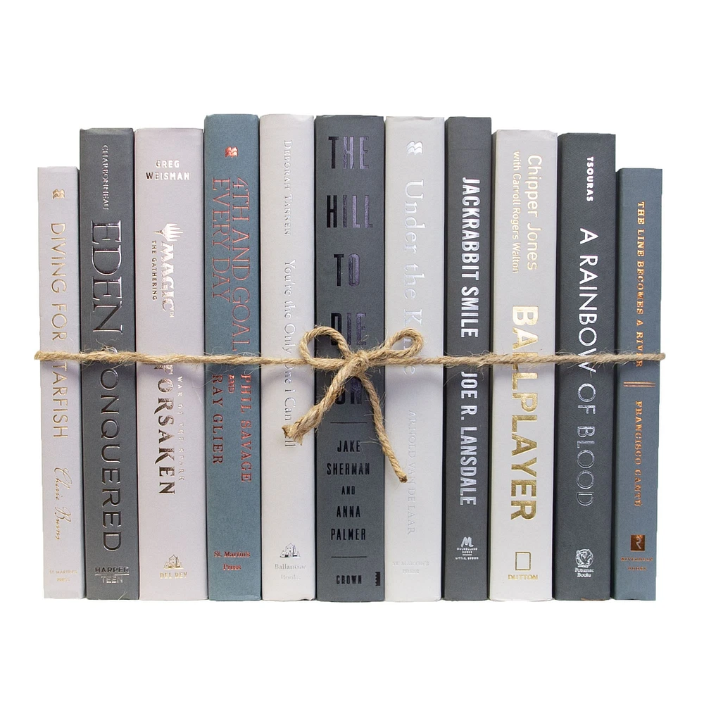 Modern Decorative Book, Snowfall