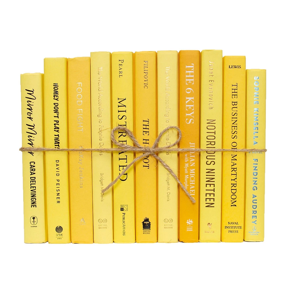 Modern Decorative Book, Snowfall